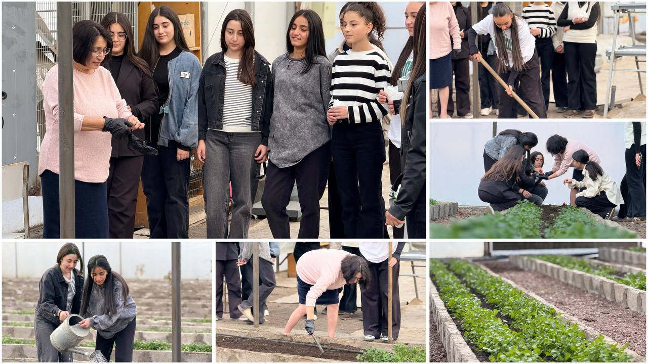 Գորիսի Յուրի Բախշյանի անվան թիվ 3 հիմնական դպրոցում շարունակվում է «Նորարական ջերմատուն» արտադասարանական խմբակի ակտիվ աշխատանքը