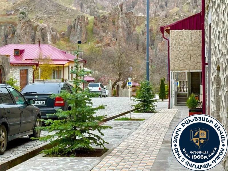 Կենցաղային գործունեություն